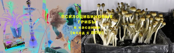 ECSTASY Волоколамск