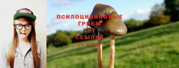 гашишное масло Володарск