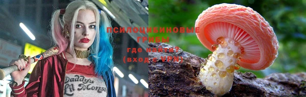 ECSTASY Волоколамск