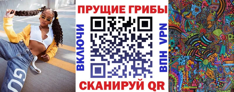 Псилоцибиновые грибы Cubensis  ОМГ ОМГ   Плёс 