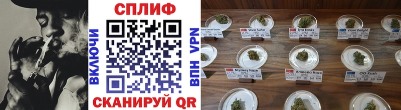 Бошки Шишки THC 21%  Плёс 